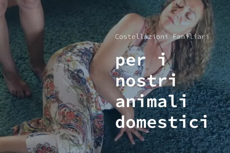 I nostri animali domestici